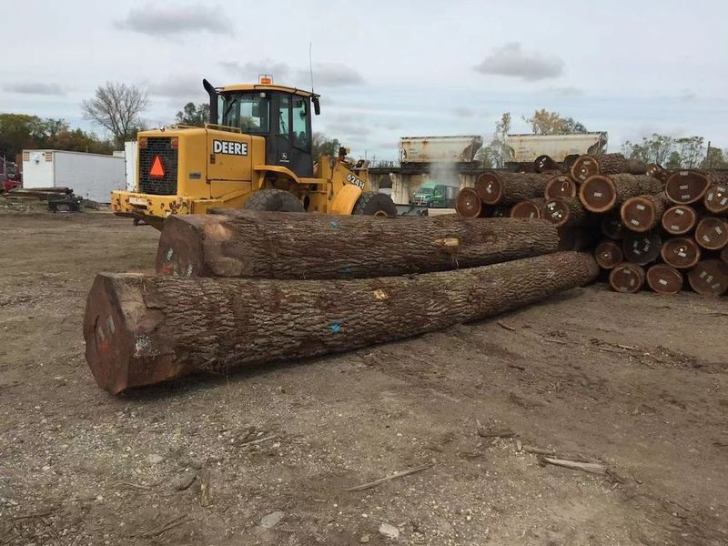 중국 Dongguan Yinghui Wood Industry Co., Ltd. 회사 프로필