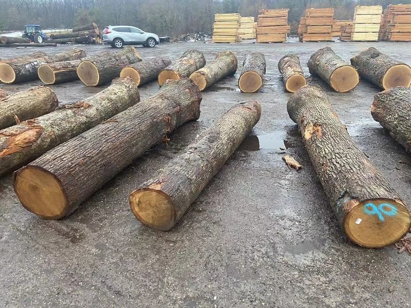 중국 Dongguan Yinghui Wood Industry Co., Ltd. 회사 프로필