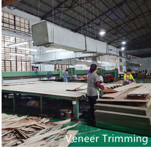 Dongguan Yinghui Wood Industry Co., Ltd. 제조업체 생산 라인